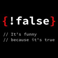 False ItS Funny Because ItS True Programmer Humor Wool Snapback Cap