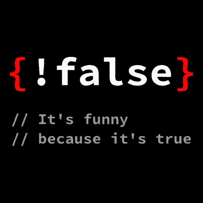 False ItS Funny Because ItS True Programmer Humor Wool Snapback Cap