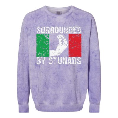 Funny Italian Gift Cool Surrounded By Stunads Gift Colorblast Crewneck Sweatshirt