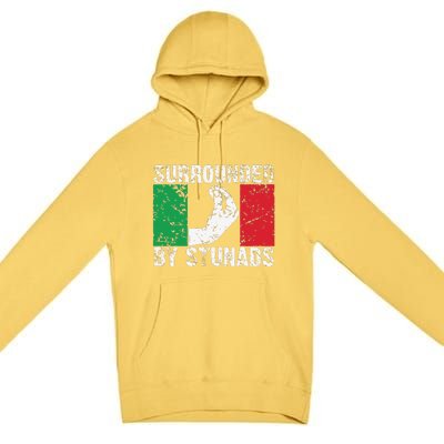 Funny Italian Gift Cool Surrounded By Stunads Gift Premium Pullover Hoodie