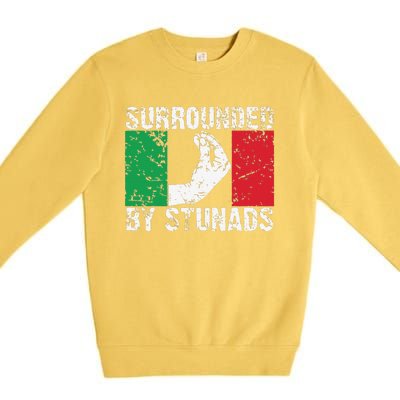 Funny Italian Gift Cool Surrounded By Stunads Gift Premium Crewneck Sweatshirt