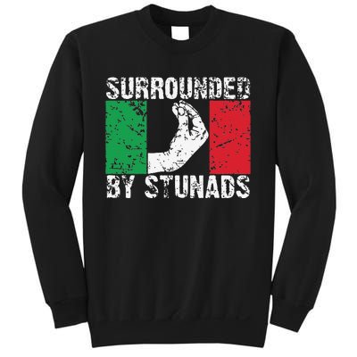 Funny Italian Gift Cool Surrounded By Stunads Gift Sweatshirt