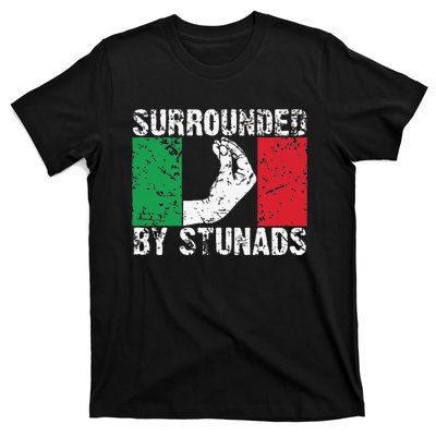 Funny Italian Gift Cool Surrounded By Stunads Gift T-Shirt