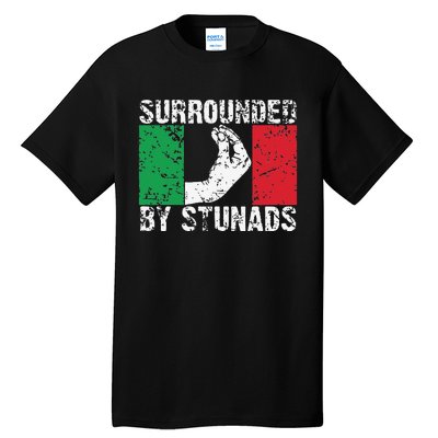 Funny Italian Gift Cool Surrounded By Stunads Gift Tall T-Shirt