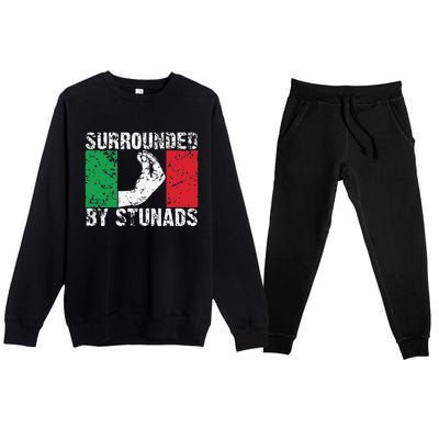 Funny Italian Gift Cool Surrounded By Stunads Gift Premium Crewneck Sweatsuit Set