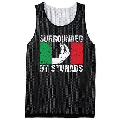 Funny Italian Gift Cool Surrounded By Stunads Gift Mesh Reversible Basketball Jersey Tank