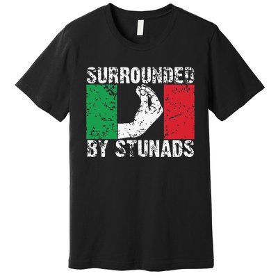 Funny Italian Gift Cool Surrounded By Stunads Gift Premium T-Shirt