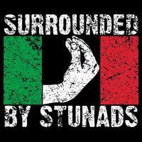 Funny Italian Gift For Cool Surrounded By Stunads Cooling Performance Crew T-Shirt