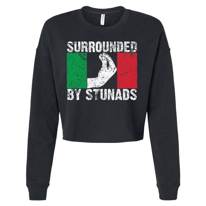 Funny Italian Gift For Cool Surrounded By Stunads Cropped Pullover Crew