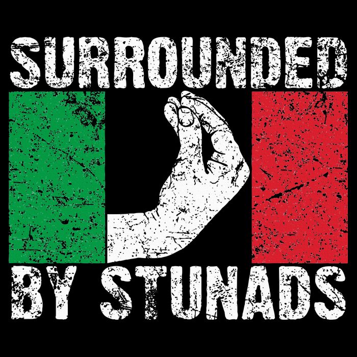 Funny Italian Gift For Cool Surrounded By Stunads Cropped Pullover Crew