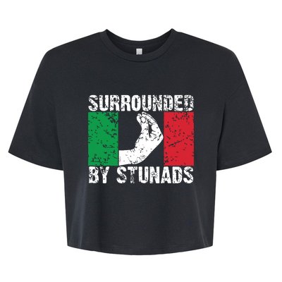 Funny Italian Gift For Men Women Cool Surrounded By Stunads Bella+Canvas Jersey Crop Tee