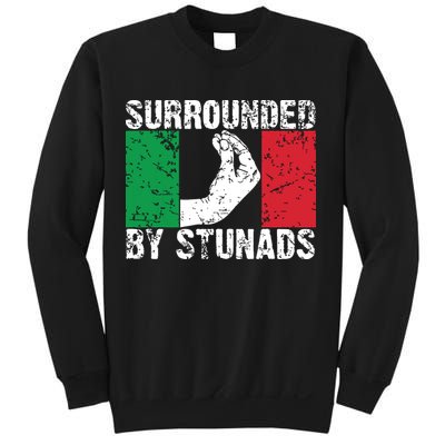 Funny Italian Gift For Men Women Cool Surrounded By Stunads Sweatshirt