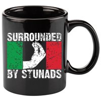 Funny Italian Gift For Men Women Cool Surrounded By Stunads 11oz C Handle Ceramic Mug
