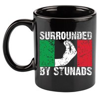 Funny Italian Gift For Men Women Cool Surrounded By Stunads 11oz C Handle Ceramic Mug