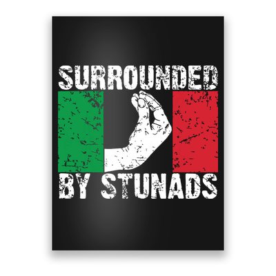 Funny Italian Gift For Men Women Cool Surrounded By Stunads Poster