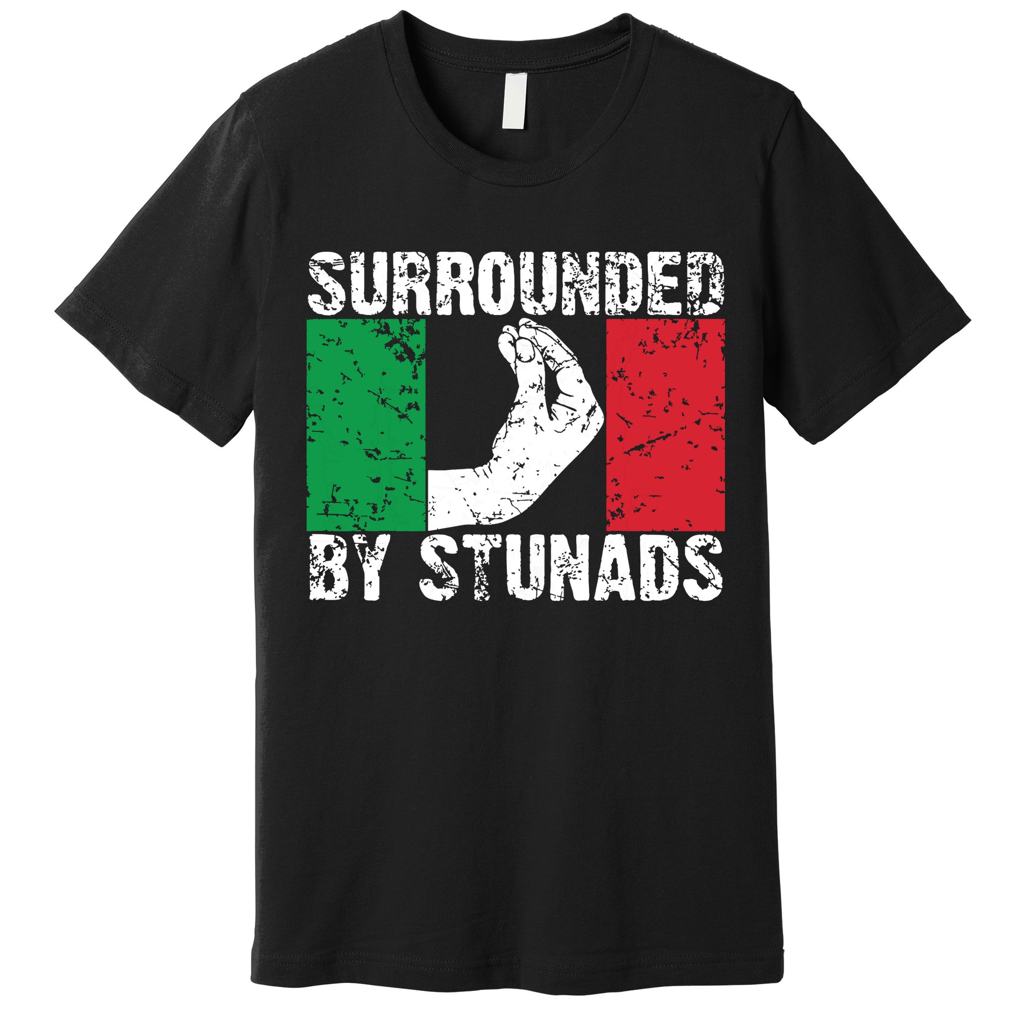 Funny Italian Gift For Men Women Cool Surrounded By Stunads Premium T-Shirt