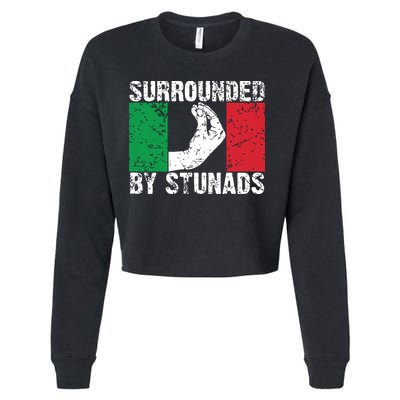 Funny Italian Gift For Men Women Cool Surrounded By Stunads Cropped Pullover Crew