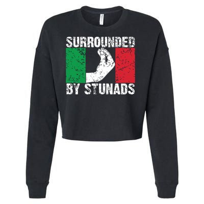 Funny Italian Gift For Men Women Cool Surrounded By Stunads Cropped Pullover Crew