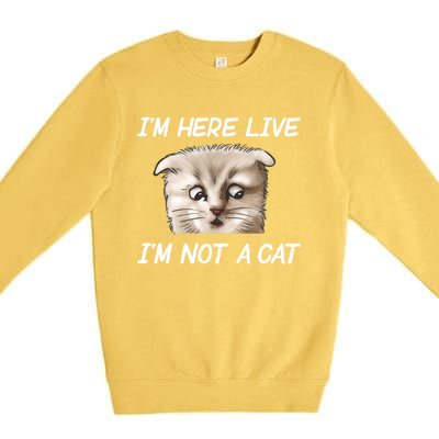 Funny IM Here Live IM Not A Cat Zoom Cat Meme Humor Idea Meaningful Gift Premium Crewneck Sweatshirt