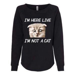 Funny IM Here Live IM Not A Cat Zoom Cat Meme Humor Idea Meaningful Gift Womens California Wash Sweatshirt