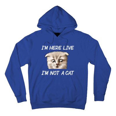 Funny IM Here Live IM Not A Cat Zoom Cat Meme Humor Idea Meaningful Gift Hoodie