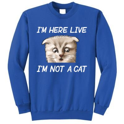 Funny IM Here Live IM Not A Cat Zoom Cat Meme Humor Idea Meaningful Gift Sweatshirt