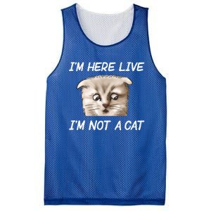 Funny IM Here Live IM Not A Cat Zoom Cat Meme Humor Idea Meaningful Gift Mesh Reversible Basketball Jersey Tank