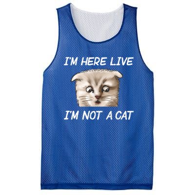 Funny IM Here Live IM Not A Cat Zoom Cat Meme Humor Idea Meaningful Gift Mesh Reversible Basketball Jersey Tank