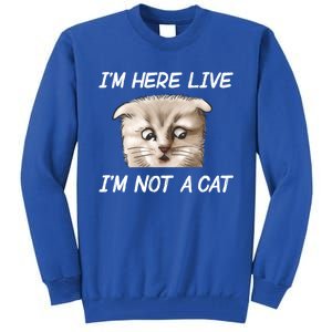 Funny IM Here Live IM Not A Cat Zoom Cat Meme Humor Idea Meaningful Gift Tall Sweatshirt