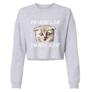 Funny IM Here Live IM Not A Cat Zoom Cat Meme Humor Idea Meaningful Gift Cropped Pullover Crew