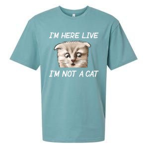 Funny IM Here Live IM Not A Cat Zoom Cat Meme Humor Idea Meaningful Gift Sueded Cloud Jersey T-Shirt