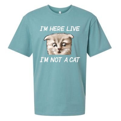 Funny IM Here Live IM Not A Cat Zoom Cat Meme Humor Idea Meaningful Gift Sueded Cloud Jersey T-Shirt