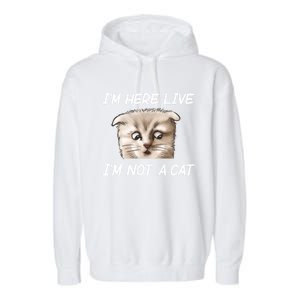 Funny IM Here Live IM Not A Cat Zoom Cat Meme Humor Idea Meaningful Gift Garment-Dyed Fleece Hoodie