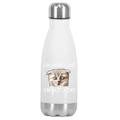 Funny IM Here Live IM Not A Cat Zoom Cat Meme Humor Idea Meaningful Gift Stainless Steel Insulated Water Bottle