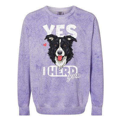 Funny I Herd You Border Collie Dog Lover Colorblast Crewneck Sweatshirt