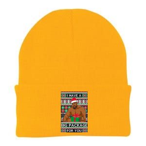 Funny I Have A Big Package For You Ugly Christmas Sweater Knit Cap Winter Beanie