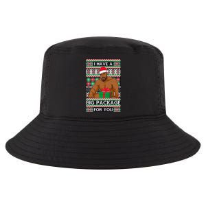 Funny I Have A Big Package For You Ugly Christmas Sweater Cool Comfort Performance Bucket Hat