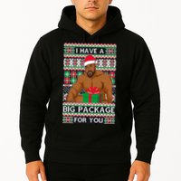 Funny I Have A Big Package For You Ugly Christmas Sweater Hoodie