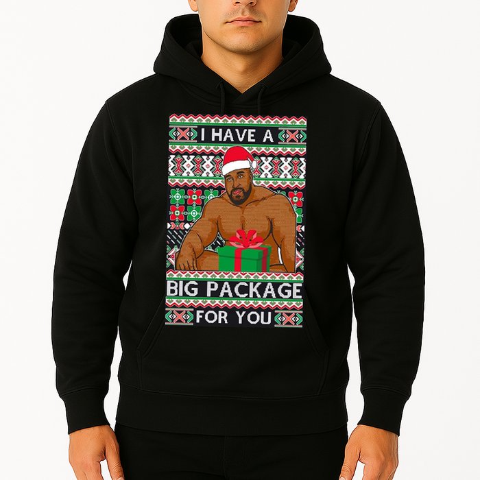Funny I Have A Big Package For You Ugly Christmas Sweater Hoodie