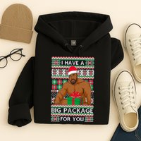 Funny I Have A Big Package For You Ugly Christmas Sweater Hoodie