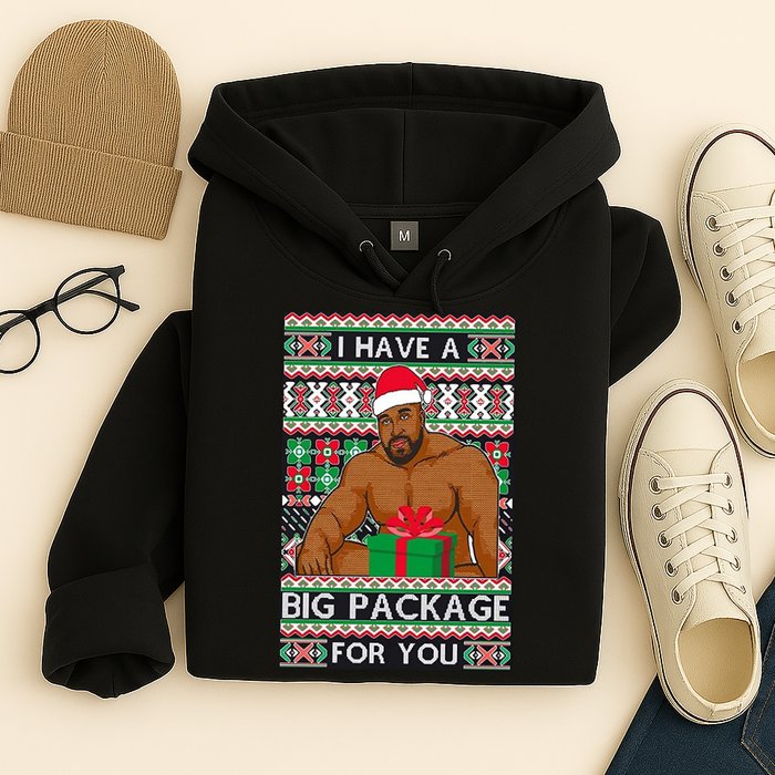 Funny I Have A Big Package For You Ugly Christmas Sweater Hoodie