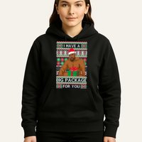 Funny I Have A Big Package For You Ugly Christmas Sweater Hoodie