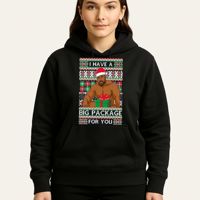 Funny I Have A Big Package For You Ugly Christmas Sweater Hoodie