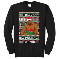 Funny I Have A Big Package For You Ugly Christmas Sweater Sweatshirt