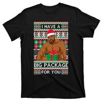 Funny I Have A Big Package For You Ugly Christmas Sweater T-Shirt