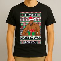 Funny I Have A Big Package For You Ugly Christmas Sweater T-Shirt