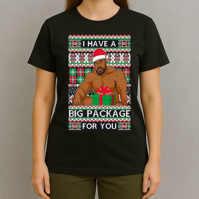 Funny I Have A Big Package For You Ugly Christmas Sweater T-Shirt