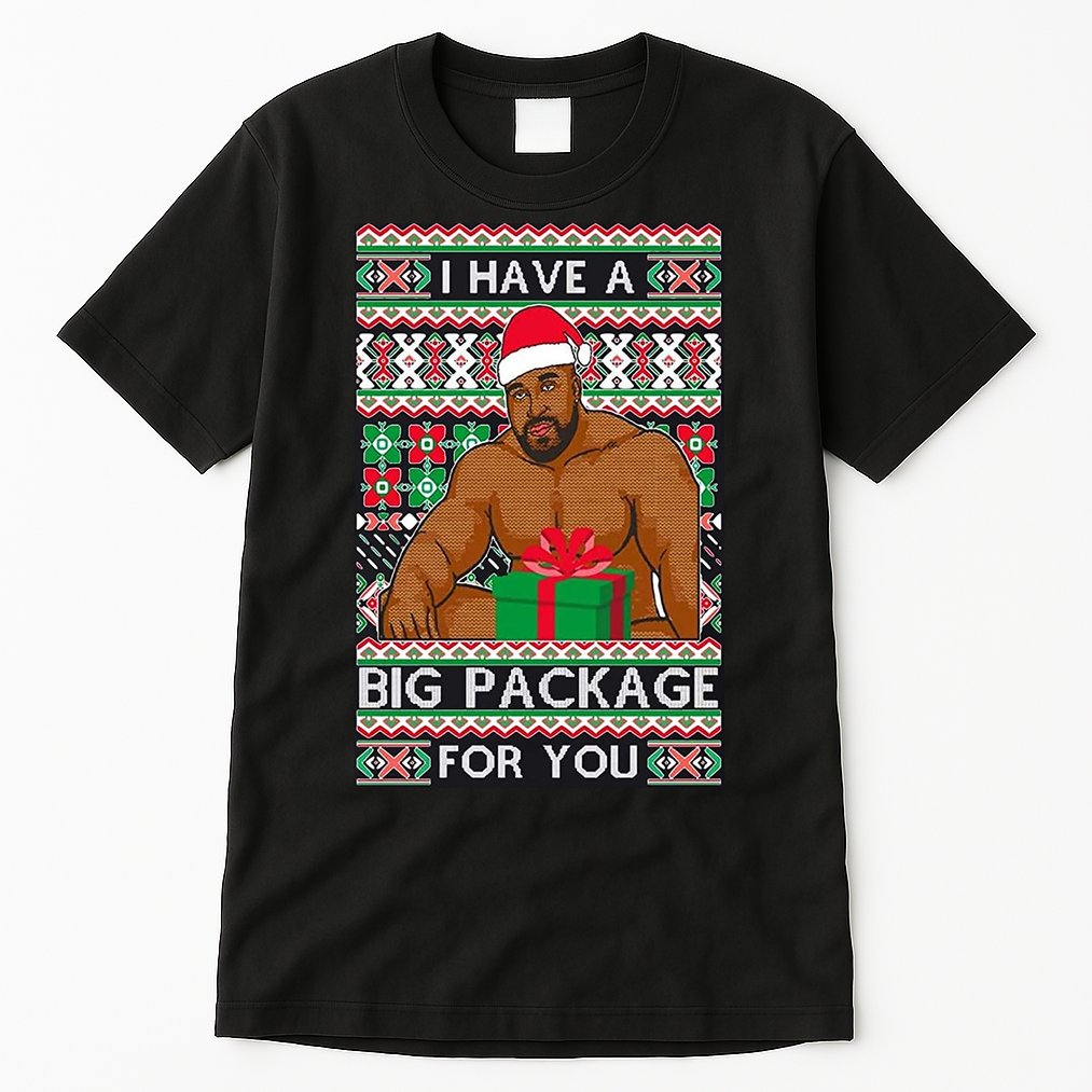 Funny I Have A Big Package For You Ugly Christmas Sweater Tall T-Shirt
