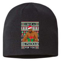 Funny I Have A Big Package For You Ugly Christmas Sweater Sustainable Beanie