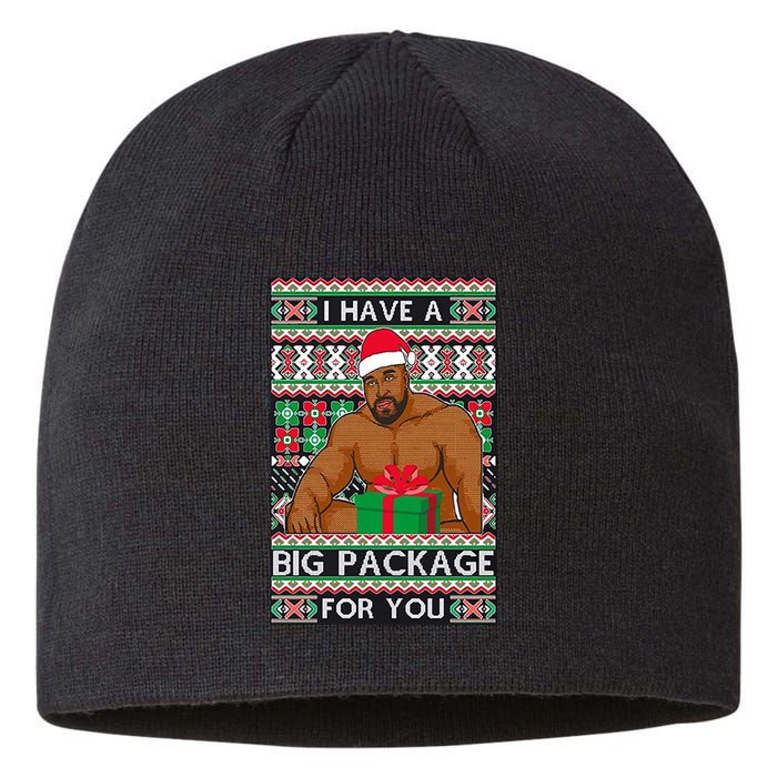 Funny I Have A Big Package For You Ugly Christmas Sweater Sustainable Beanie